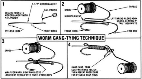 The Art of Worming for Trout Image